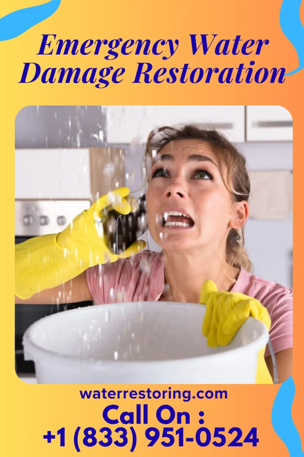 Emergency Water Damage Restoration in Norwalk, WI